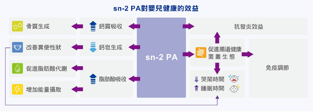sn-2PA對嬰兒健康的效益