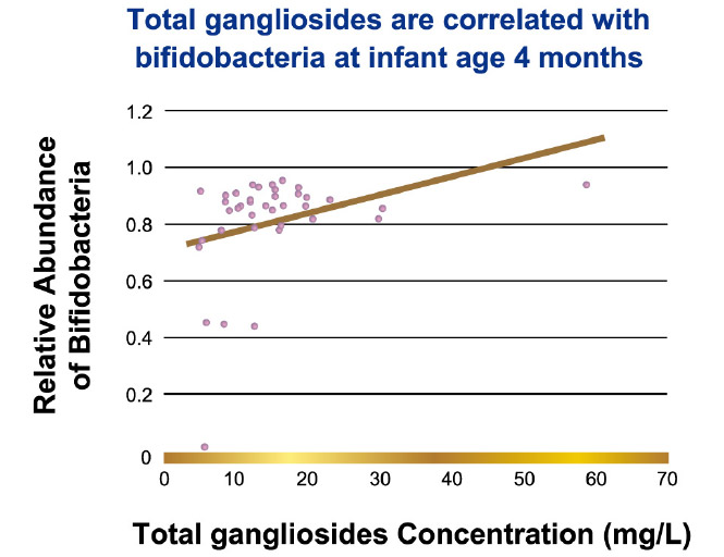 Total gangliosides are correlated with bifidobacteria at infant age 4 months