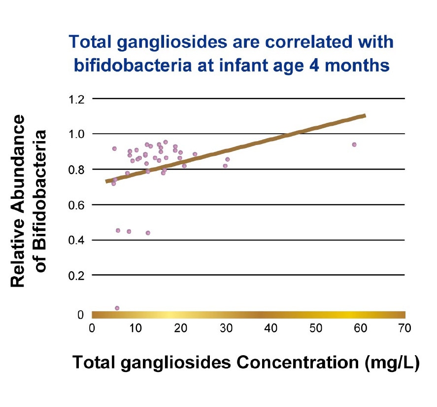 Total gangliosides are correlated with bifidobacteria at infant age 4 months