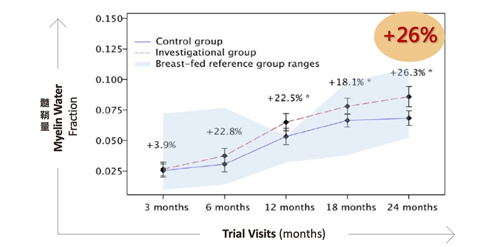 圖一：實驗組的嬰幼兒在2歲時的全腦髓鞘量，可顯著領先對照組26%。