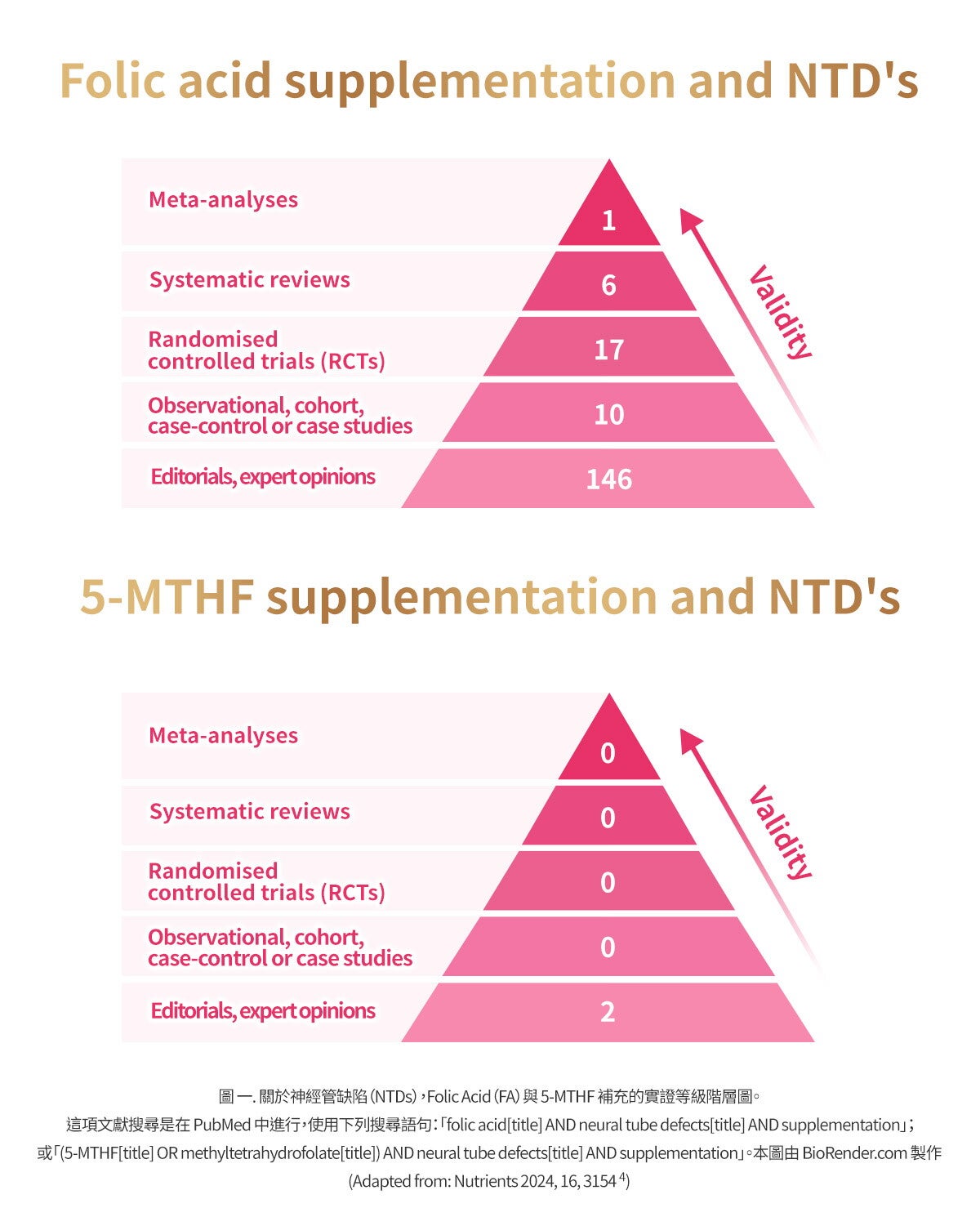 關於神經管缺陷（NTDs），Folic Acid（FA）與 5-MTHF 補充的實證等級階層圖。