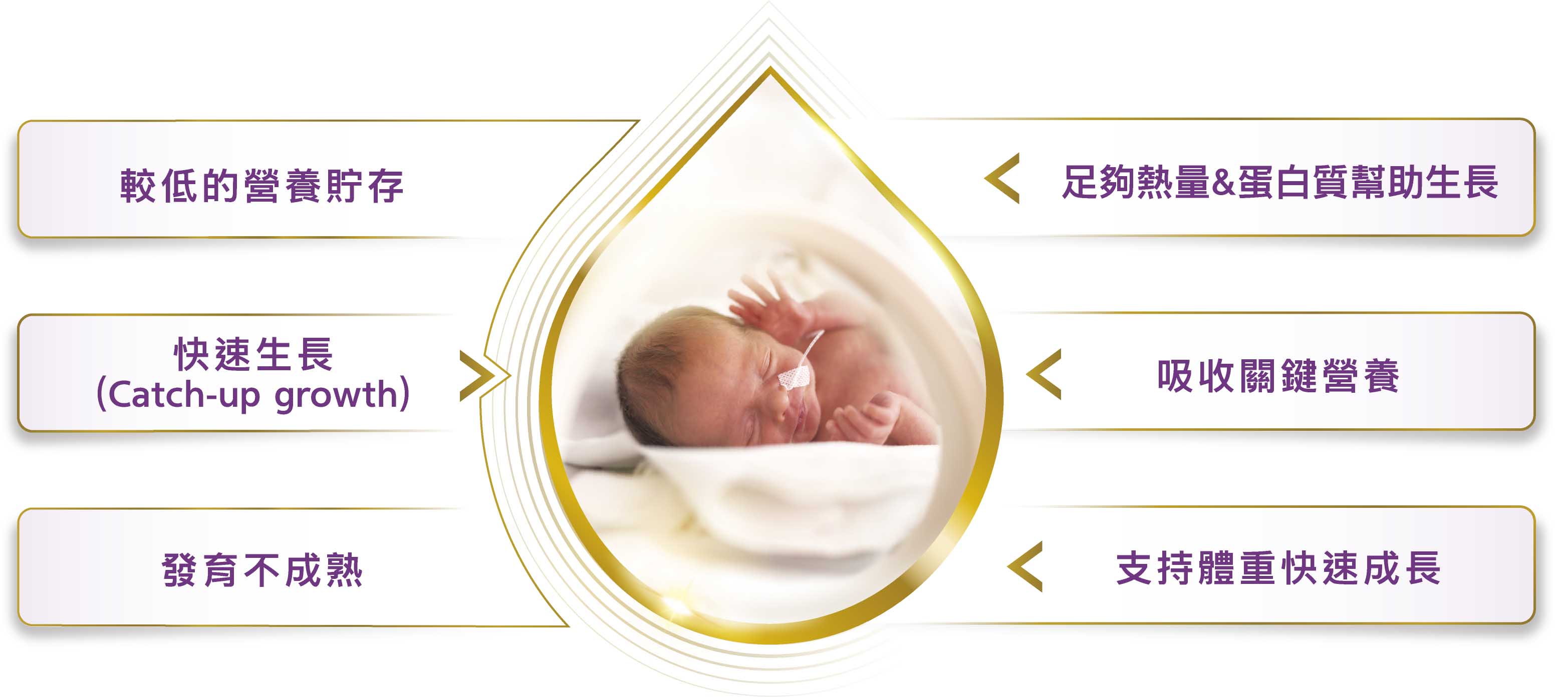 早產兒生理不成熟,但出生後需要快速追趕成長