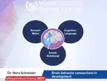 Brain-behavior connections in development - Dr. Nora Schneider