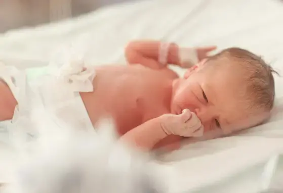 WINROP 在一項全國極低體重早產兒的世代研究中，早期發現嚴重早產兒視網膜病變