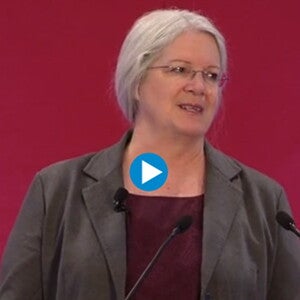 Electrophysiological Methodology to Assess Recognition Memory in the Synergistic Effects Study