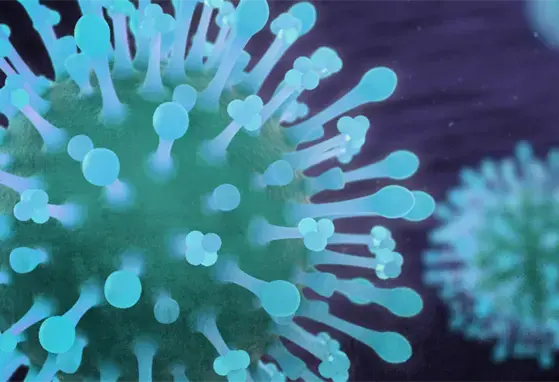 Coronavirus info (updated)