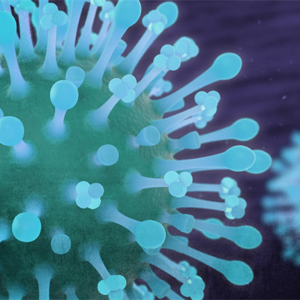 Coronavirus info (updated)