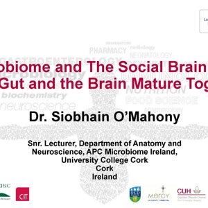 Microbiome and The Social Brain How the Gut and the Brain Mature Together