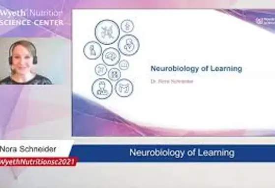 Neurobiology of learning