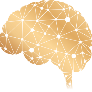 精選圖片: 營養支持快速高效率的腦部連結