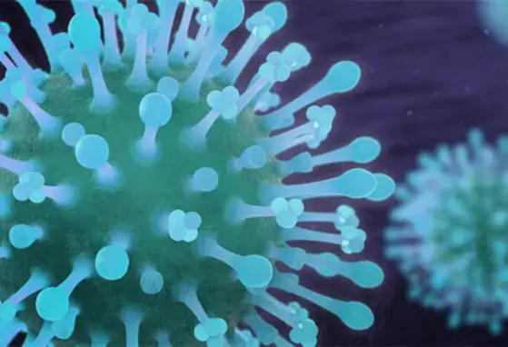 corona-virus