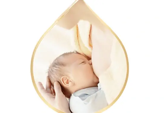 Introduction to Bioactive Nutrition