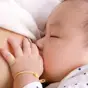 認識母乳活性因子gsMO