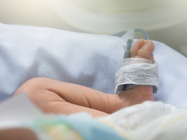 低出生體重兒滿足營養需求之短期與長期健康效果新觀點