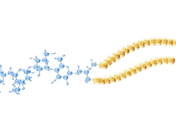 配方奶添加神經節苷脂，可改變早產兒糞便中大腸桿菌 (Escherichia coli) 含量
