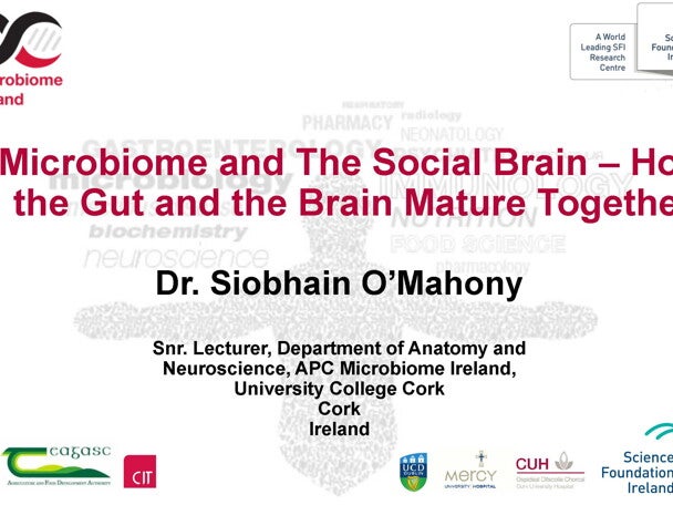 Microbiome and The Social Brain How the Gut and the Brain Mature Together