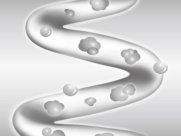 精選圖片: 腸道屏障與免疫