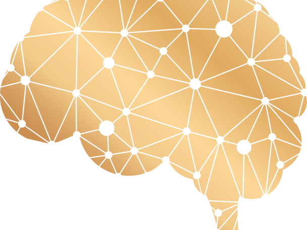 精選圖片: 營養支持快速高效率的腦部連結