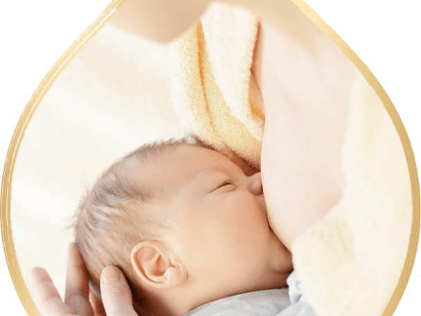 母乳活性因子支持嬰幼兒免疫發展