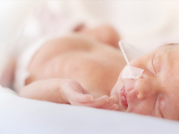 關鍵營養對早產兒腦部發展的助益