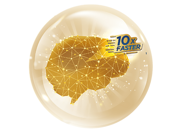 加速高效率腦部連結所需的營養及髓鞘化需求