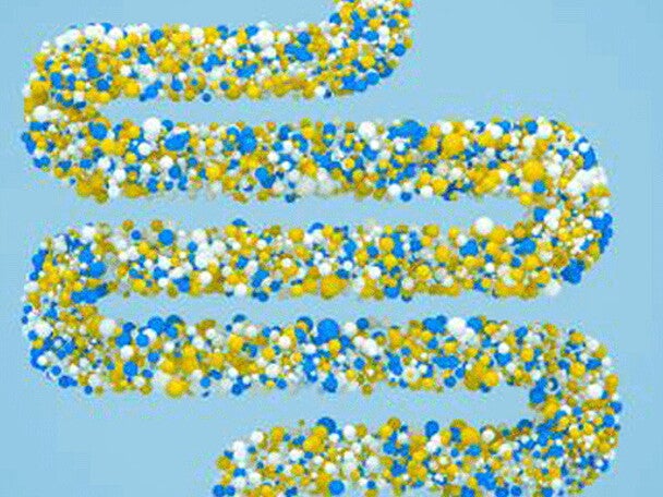 Bioactive_Nutrition_Microbiome