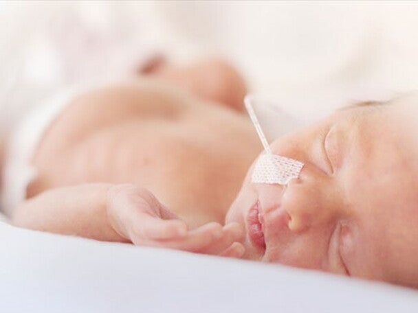 Nourishing the Growing Brain: Early Nutrition for Preterm Infants