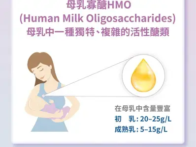 母乳第三大部分 母乳第三大部分