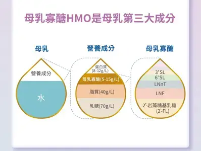 母乳寡醣HMO 母乳寡醣HMO