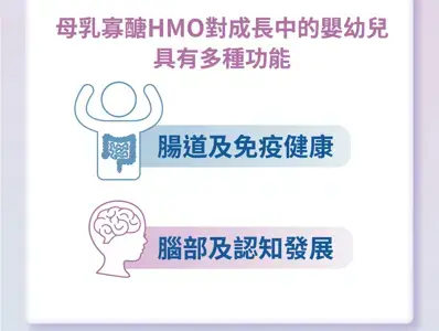 具有多種功能 具有多種功能