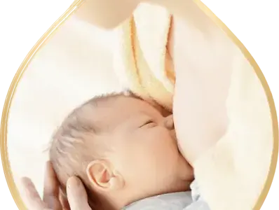 母乳活性因子支持嬰幼兒免疫發展
